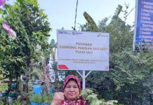 Pertamina Mendorong Peningkatan Perekonomian dan Pariwisata Berkelanjutan Melalui Program Pertamina Desa Wisata