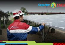 Dorong Pemanfaatan Energi Hijau, Pertamina Berhasil Tingkatkan Kapasitas PLTS hingga 267 Persen