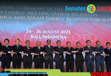 Forum Menteri Energi se-Asean, RI Angkat 3 Isu Krusial Sektor Energi