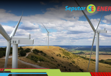 Potensi Besar Turbin Angin, Energi Terbarukan yang Lebih Efisien