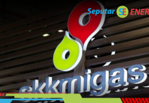 SKK Migas Optimalkan Cadangan Gas dengan Kadar CO2 30 Persen