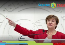 Bos IMF Ungkap Alasan Pernah Persoalkan Larangan Ekspor Nikel RI