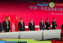 Ekonom Berikan Tiga Catatan Penting Terkait Investasi Energi Baru Terbarukan Cina di Indonesia