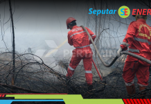 Sinergi Pertamina Group Bantu Atasi Kebakaran Karhutla di Sumatra Selatan