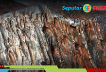 Menyedihkan, China Kuasai 90% Tambang Nikel Indonesia