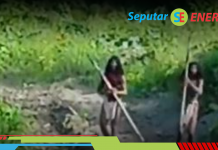 Viral! Suku Anak Dalam Melawan Buldoser Tambang Nikel demi Melindungi Harta Karun Alam