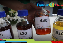 Indonesia Terus Genjot Penggunaan Bahan Bakar ‘Masa Depan’ dari Produk Ini