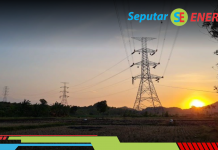 Ekonom: Pasar Listrik Dibuka dalam Negeri, PLN Semakin Kompetitif