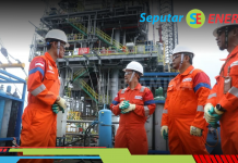 Pertamina Gas Bidik Potensi Bisnis Baru dalam Petrokimia dan Energi Bersih