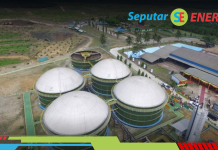 Potensi Kelapa Sawit sebagai Sumber Energi Terbarukan yang Berkelanjutan