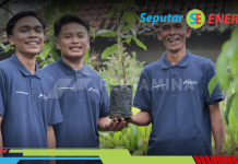 Pertamina Tanam Lebih Dari Enam Juta Pohon
