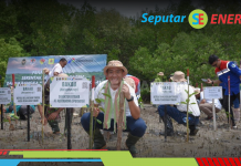 Upaya Mitigasi Perubahan Iklim, Pertamina Rehabilitasi Mangrove di NTT