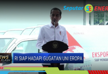 Jokowi Pesimis RI Menang di WTO Soal Nikel, Ternyata Ini Masalahnya