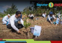 Komitmen Keberlanjutan Lingkungan, Pertamina & Pelita Air Tanam 10 Ribu Pohon di Jawa Timur