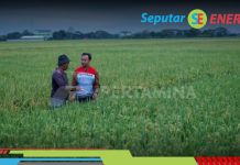 Kado HUT Pertamina Untuk Masyarakat, Pertamina Terus Tambah Desa Energi Berdikari