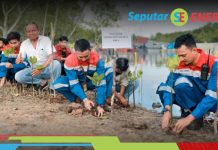 Pertamina Galang Hutan Lestari, Dukung NZE 2060 dan Ketahanan Pangan