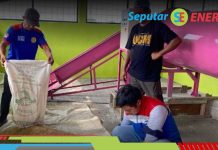 Program Desa Energi Berdikari Pertamina Dorong Produksi Pangan Desa