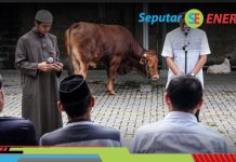 Pertamina Bagikan Daging Kurban untuk 50.000 Duafa