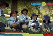 Berkat Inovasi Panas Bumi Pertamina, Kopi Kamojang Tembus Pasar Global