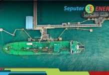 Pertamina Luncurkan Green Terminal, Langkah Strategis Perkuat Ketahanan Energi Rendah Karbon